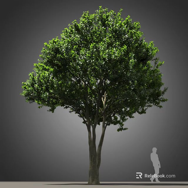 Tall Arbor With Lush Green Foliage And Sturdy Trunk Structure 3d model