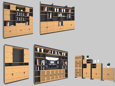 Modern Bookcase Designs with Shelves Drawers and Storage Space for Home Interior 3d model