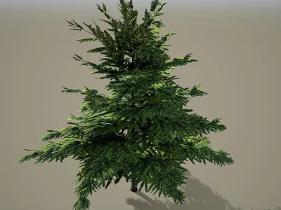 Lush Green Arbor With Dense Foliage Healthy Branches And Upright Growth 3d model