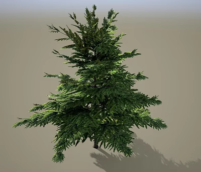 simple surface tree landscape tree cedar 3d model simple surface tree landscape tree cedar 3d model