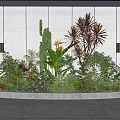 Vibrant Outdoor Planter With Cactus Red Leaf Plants And Lush Green Shrubs Against White Wall