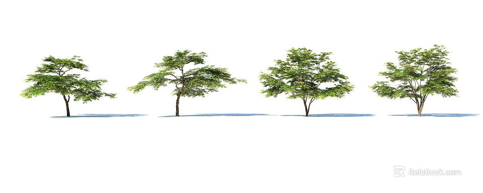 Lush Arbor Trees With Green Leaves Isolated On White Background With Shadows 3d model