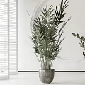 Minimalist Indoor Potted Plants with Gray Ceramic Pots and Leafy Green Foliage