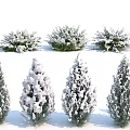 Stunning Winter Snow Covered Shrubs With Various Shapes Green Foliage And White Snow