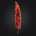 Vibrant Red Orange Feather With Shiny Detailed Texture On Black Background