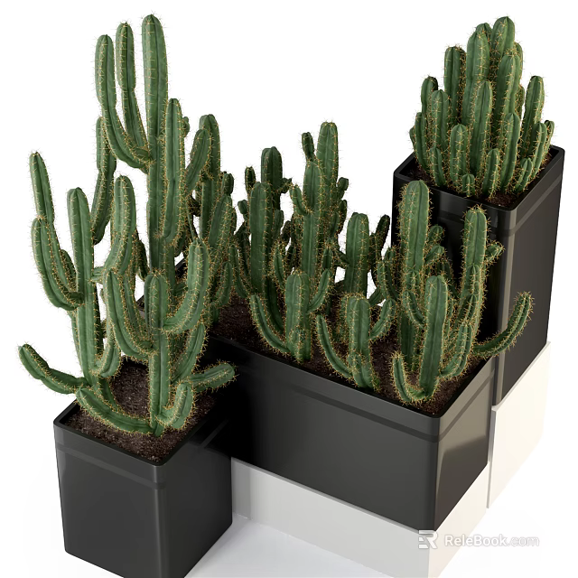 Green Spiky Cactus Potted Plants In Black Square Pots Stacked Arrangement 3d model 