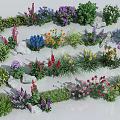 Colorful Various Flowers And Plants Arrangement With Green Shrubs And Stones