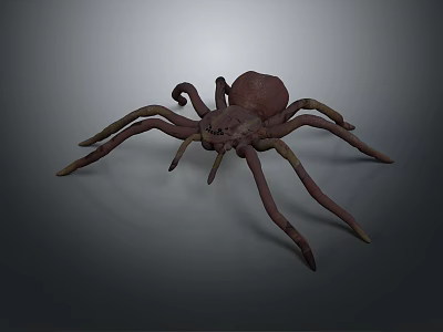 3D Rendered Spider With Long Legs And Brownish Realistic Detailed Design 3d model