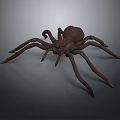 3D Rendered Spider With Long Legs And Brownish Realistic Detailed Design
