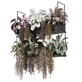 Stylish Floral Display With Multi Layered Shelf And Varied Hanging Foliage Plants