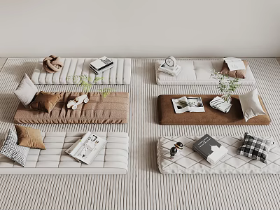 Cozy Living Essentials With Padded Mats Decorative Pillows Books And Small Green Plants 3d model