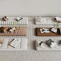 Cozy Living Essentials With Padded Mats Decorative Pillows Books And Small Green Plants