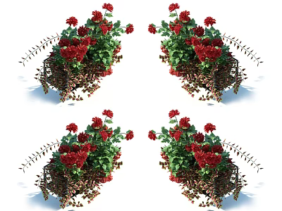 Colorful Red Flower Bouquets With Fresh Green Leaves And Decorative Dried Plants 3d model
