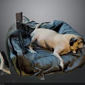 Cozy Blue Dog Bed With White Pug Lying On Soft Blanket