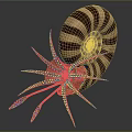 Nautilus Marine Animal With Detailed Striped Spiral Shell And Intricate Tentacles