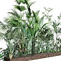 Lush Green Indoor Plants With Various Leaf Types In Wooden Planter Box