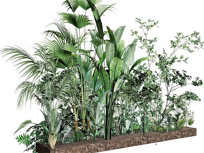 Lush Green Indoor Plants With Various Leaf Types In Wooden Planter Box 3d model