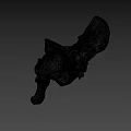 Anatomical Structure Of Light Colored Animal Pelvis Skeleton On Dark Background