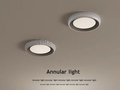 Modern Design Annular Light Surface Mounted Ceiling Lights For Home Decor 3d model