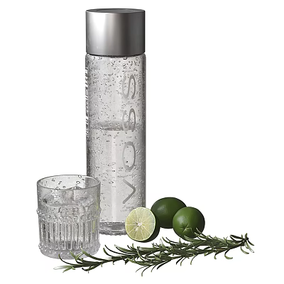 Transparent Water Bottle With Silver Lid And Glass Cup With Ice Cubes Limes And Rosemary 3d model