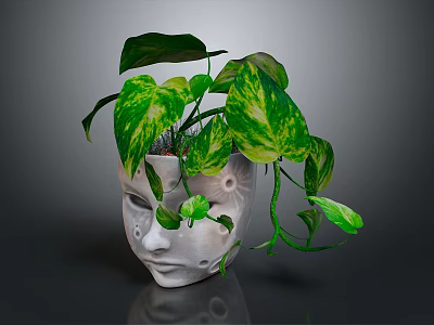 Pothos Plant With Green And Yellow Variegated Leaves In White Face Shaped Pot 3d model