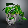 Pothos Plant With Green And Yellow Variegated Leaves In White Face Shaped Pot