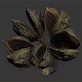 Organic Circular Arrangement Of Brown Textured Pod Like Segments With Central Hollow