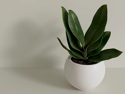 Modern Decorative Ornament Combination With Green Plant In White Pot For Home Tabletop Decor 3d model