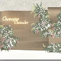 Chananper Chonader Wooden Backdrop Photo Spot With Pink White Flowers And Green Leaves