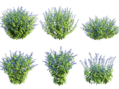 Vibrant Purple Flowering Bushes with Green Foliage for Outdoor Garden Design 3d model