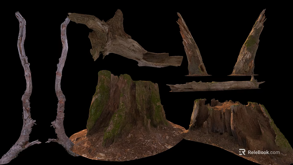 Natural Wood And Stone Display With Tree Stumps Broken Logs And Mossy Wooden Pieces 3d model 