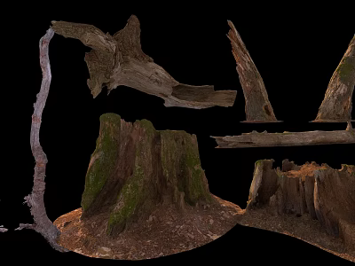 Natural Wood And Stone Display With Tree Stumps Broken Logs And Mossy Wooden Pieces 3d model