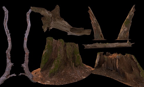 wood stump 3d model