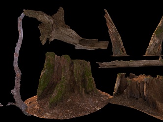 wood stump 3d model