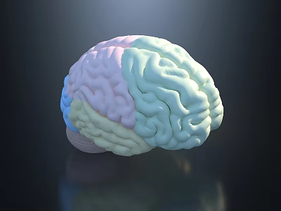 Detailed Human Brain 3D Model With Pastel Colors And Gyri Sulci Structure Against Dark Background 3d model