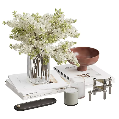 Stylish Decorative Ornament Set With Glass Vase White Flowers Brown Bowl Stacked Books And Candle 3d model