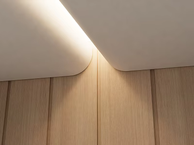 Modern Ceiling Design with Soft Lighting and Wooden Flooring Interior 3d model