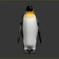King Penguin With Yellow Neck Black Back And White Belly Standing On Gray Background