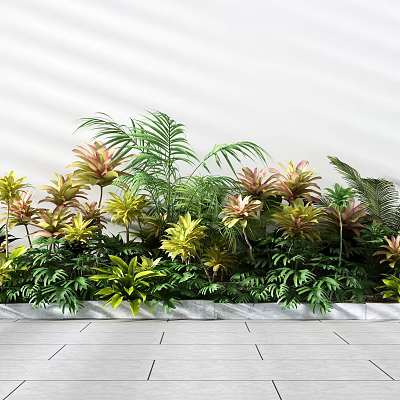 Lush Indoor Plant Collection With Ferns Palm Leaves And Colorful Foliage Arrangement 3d model