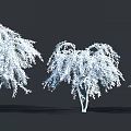 Green Shrubs With Drooping Branches And Lush Foliage For Landscaping Projects 3d model