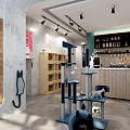 Modern Café Interior With Wooden Counter Green Chair Shelves And Cat