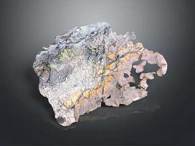 Natural Wood Stone With Irregular Shape And Colorful Texture For Interior Decor 3d model