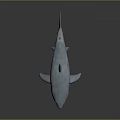 3D Model of Blue Shark with Open Mouth Sharp Teeth on Gray Background Reflection 3d model