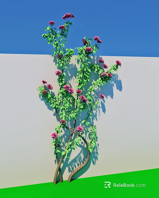 Climbing Green Vines With Pink Flowers Growing On White Wall 3d model 
