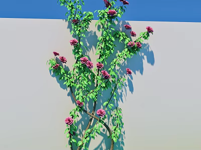 Climbing Green Vines With Pink Flowers Growing On White Wall 3d model