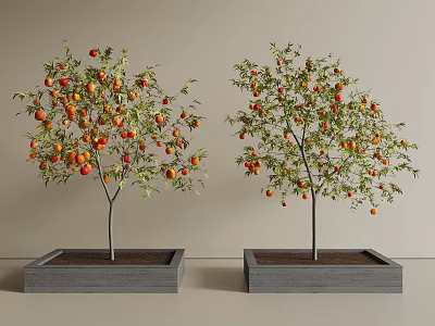Two Fruit Trees With Red Fruits In Square Planters And Green Leaves 3d model