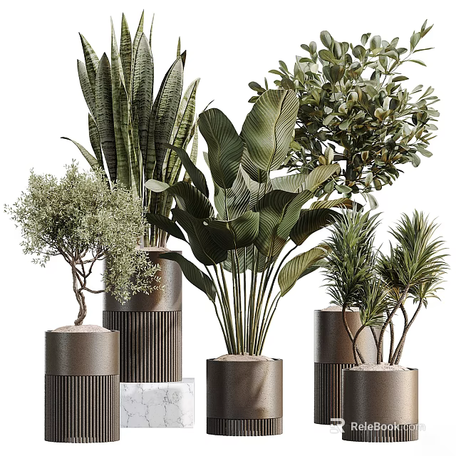 Stylish Decorative Vases With Various Indoor Plants And Green Leaf Foliage 3d model 