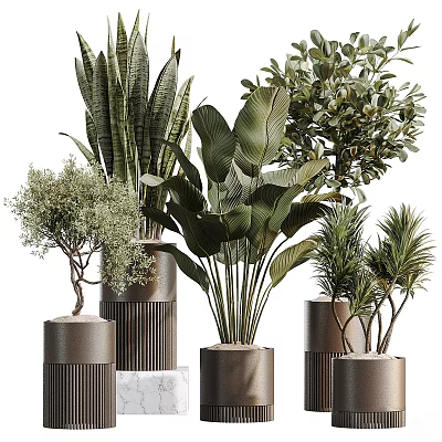 Stylish Decorative Vases With Various Indoor Plants And Green Leaf Foliage 3d model