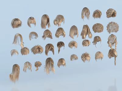Various Style Light Brown Golden Wigs With Curly Straight Braided Hairstyles On Blue Background 3d model