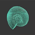 Ancient Marine Ammonite Fossil With Spiral Shell Texture On Gray Background